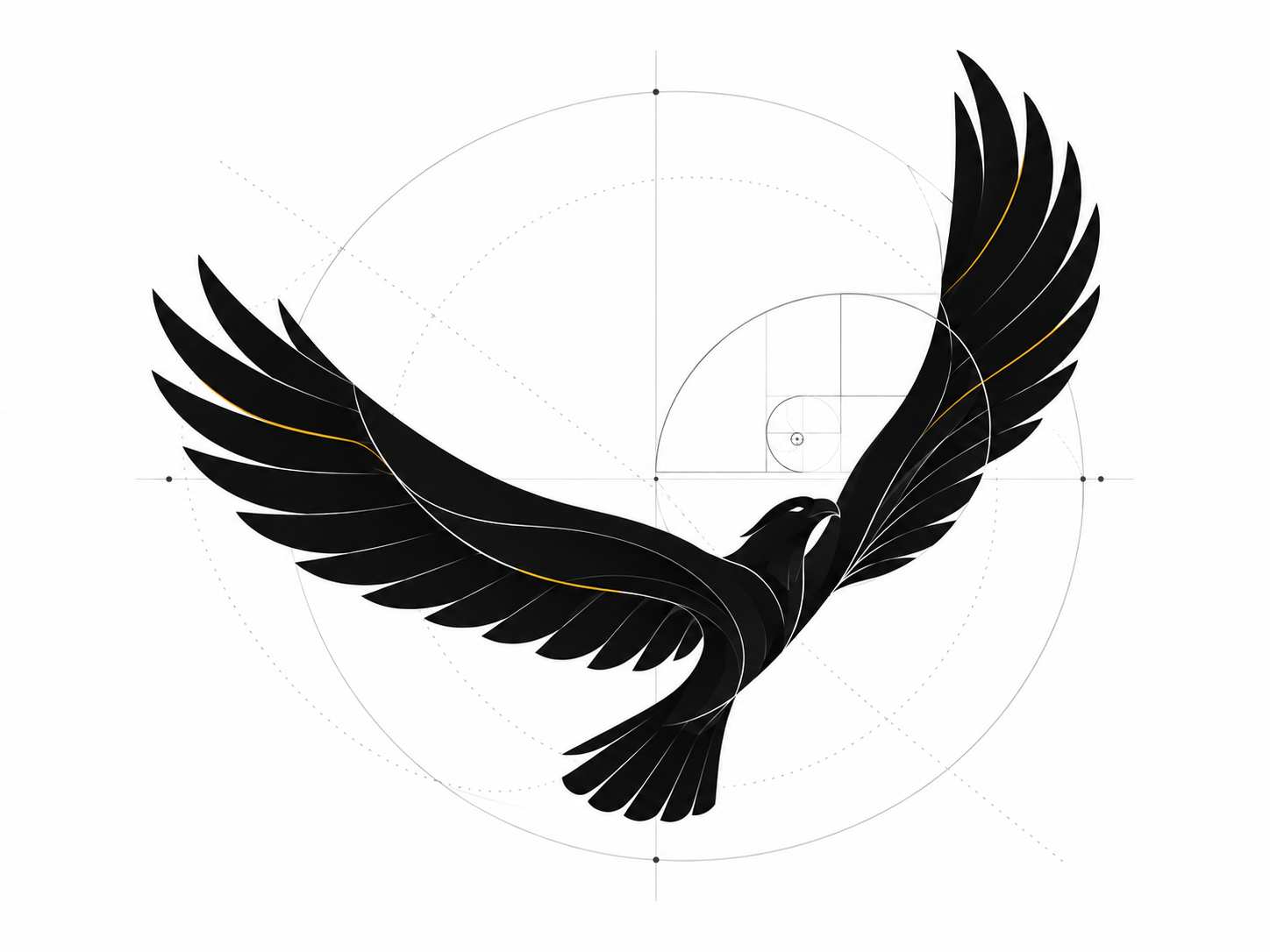 A black eagle in flight with a few fine orange feather lines, surrounded by subtle geometric circles and a spiral.
